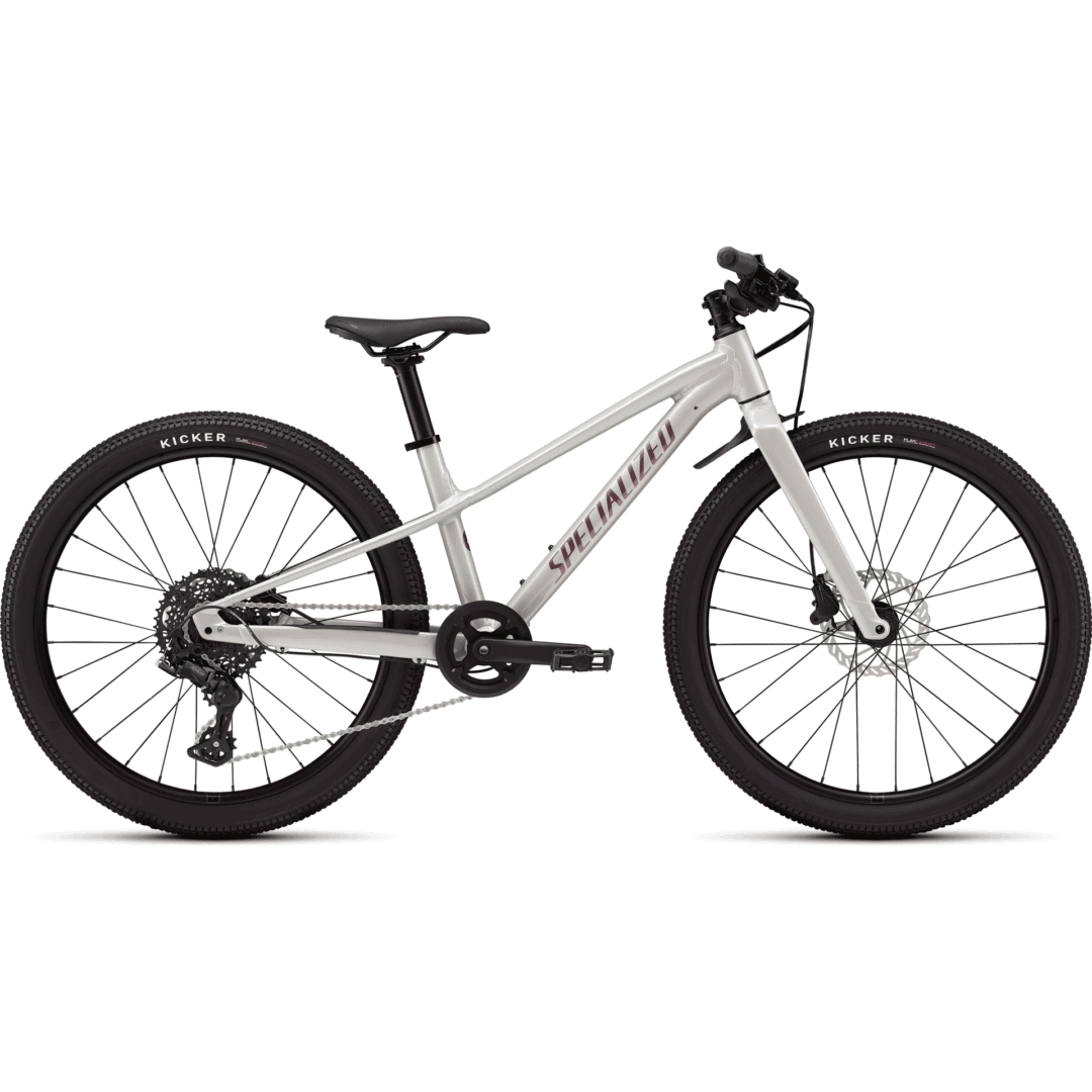 Specialized Riprock 24 gloss dolomite metallic/quartz metallic