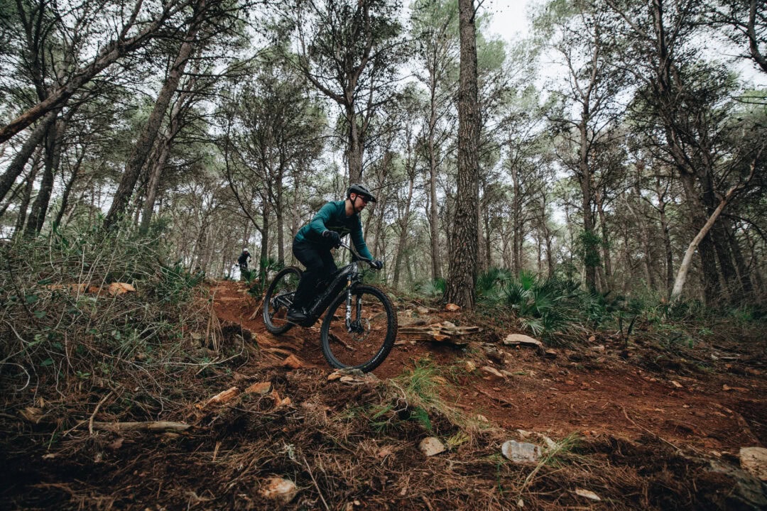 5 testipyörä levo r |